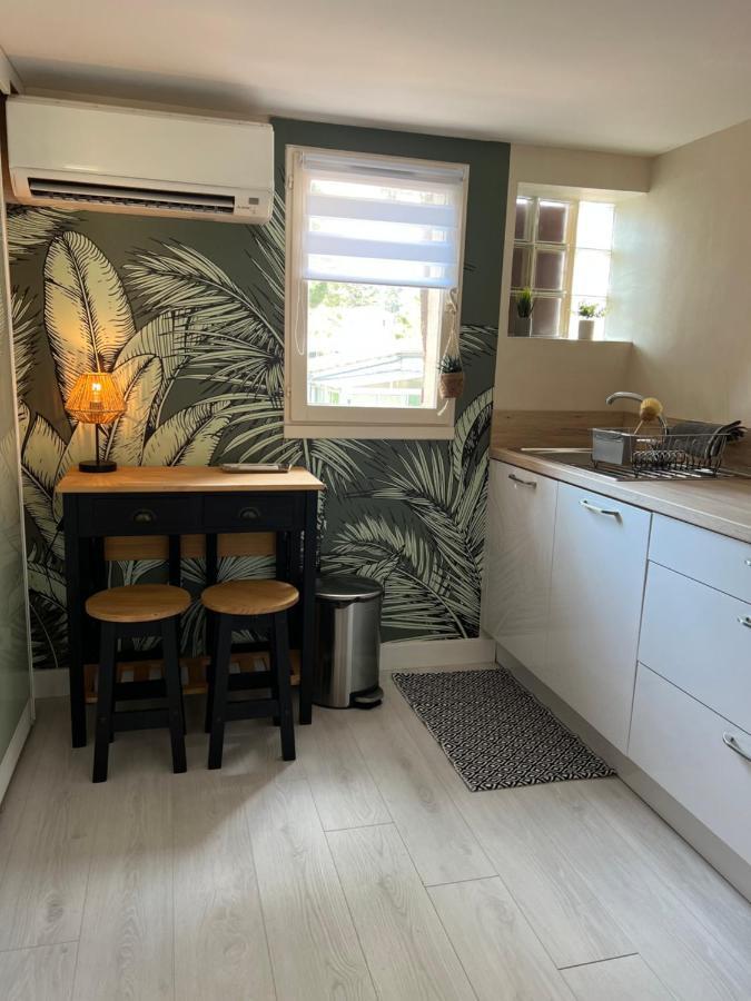 Appartement Proche Village Naturiste, Terrasse Et Parking Agde Εξωτερικό φωτογραφία